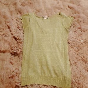 Gold n sparkling gold long and lean ribbed v-neck top